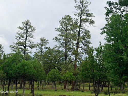 4517 Durango Drive, Happy Jack, AZ, 86024 | Card Image