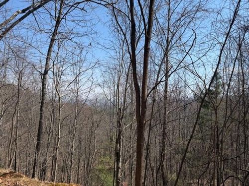 Lot 16 Laurel Mountain Dr, Brasstown, NC, 28902 | Card Image
