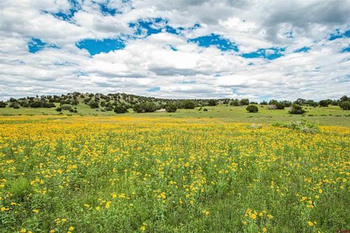 cat-hill-000 Omega Road, Quemado, NM, 87829 | Card Image