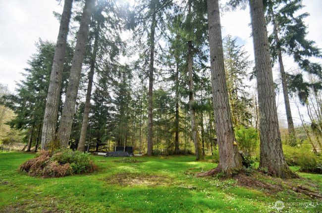 1159 King Rd, House other with 3 bedrooms, 2 bathrooms and 2 parking in Winlock WA | Image 22
