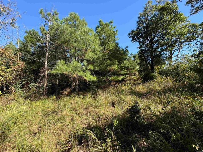 00 Calico Rd, Home with 0 bedrooms, 0 bathrooms and null parking in Clinton AR | Image 26