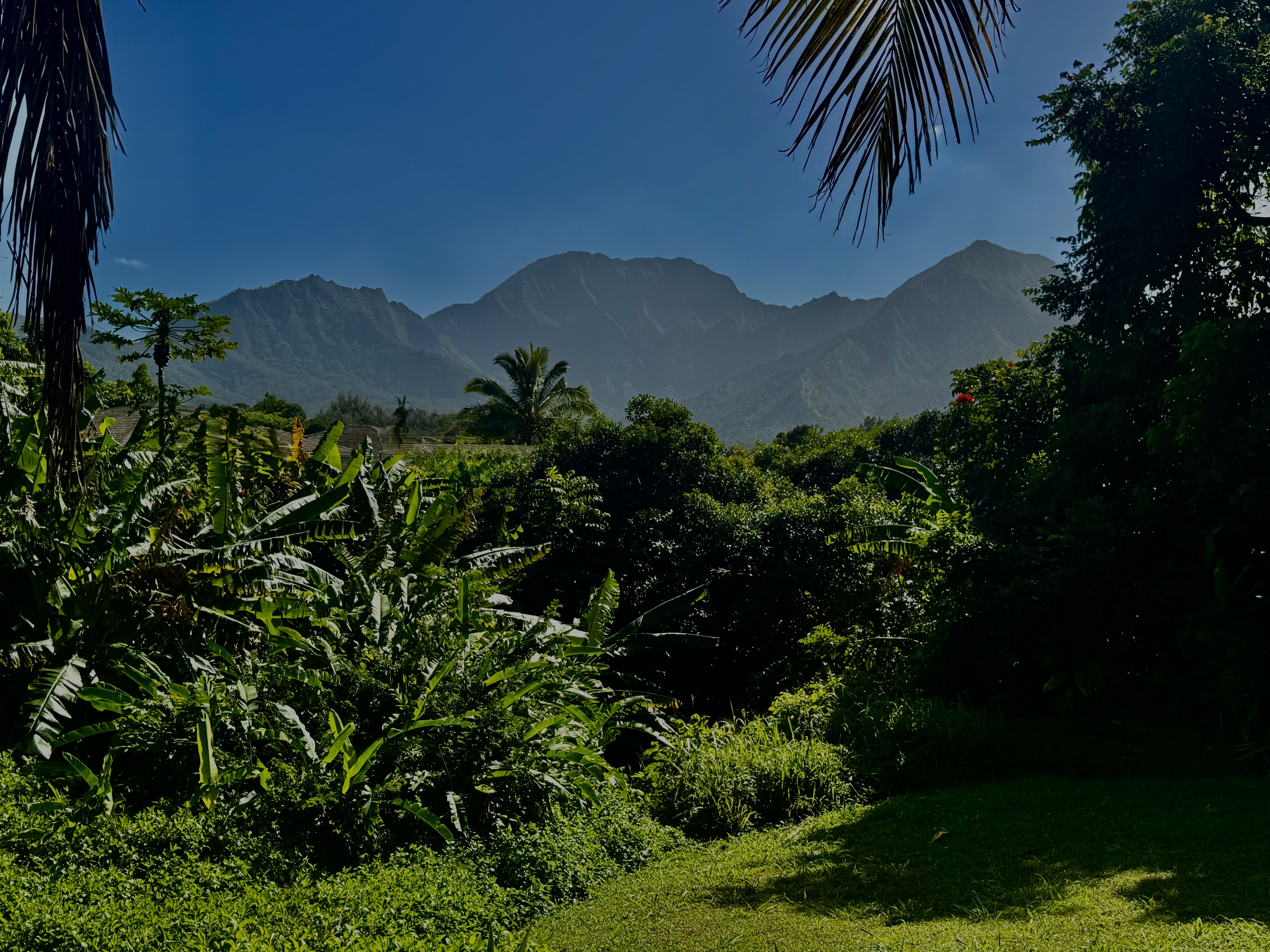 Land in Princeville