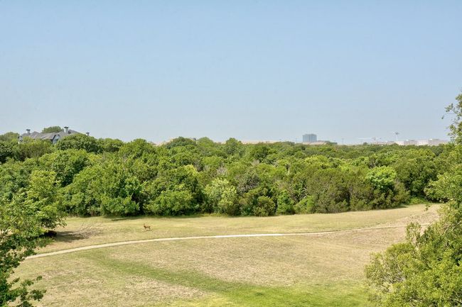 View of nature - yes, there is a deer out there! | Image 24