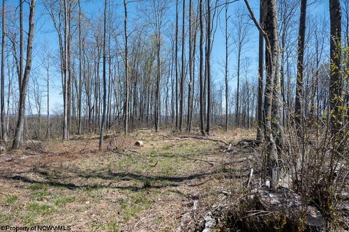 Lot 1 S Preston Hwy, Tunnelton, WV, 26444-7980 | Card Image