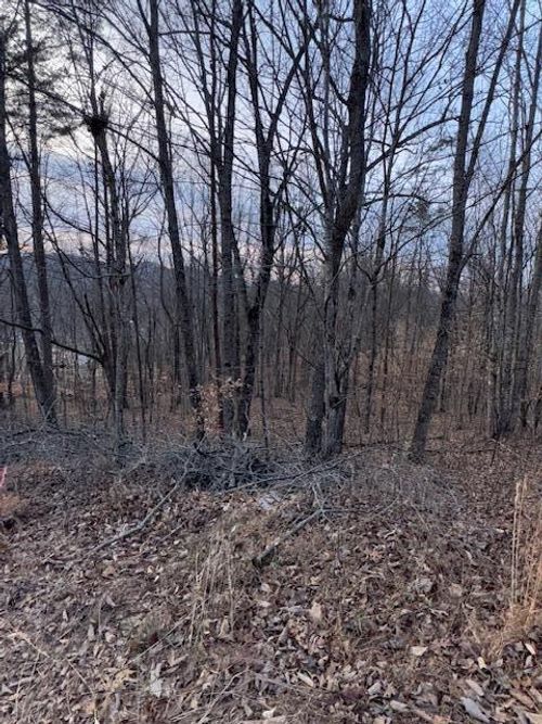 197-acre-197 King Mountain Rd, Williamsburg, KY, 40769 | Card Image