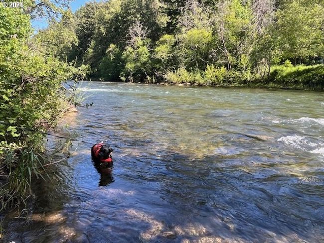 River Access | Image 42