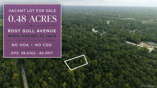 14186 Rosy Gull Avenue, Weeki Wachee, FL, 34614 | Card Image