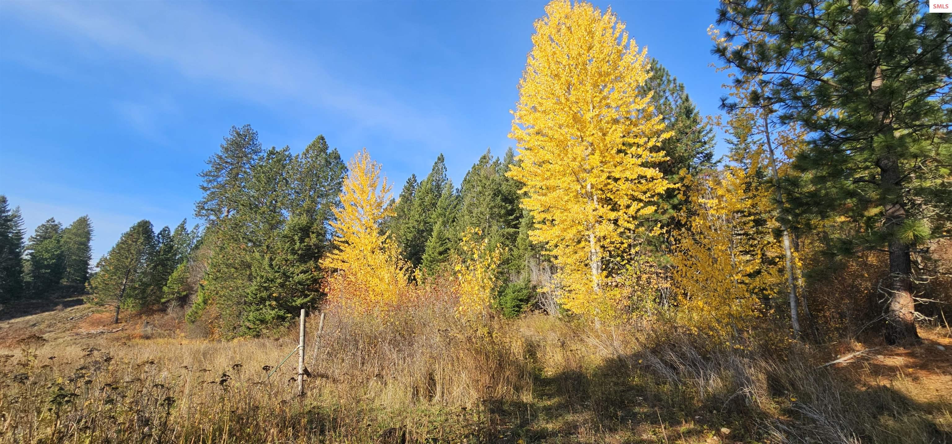 Land in Priest River 3