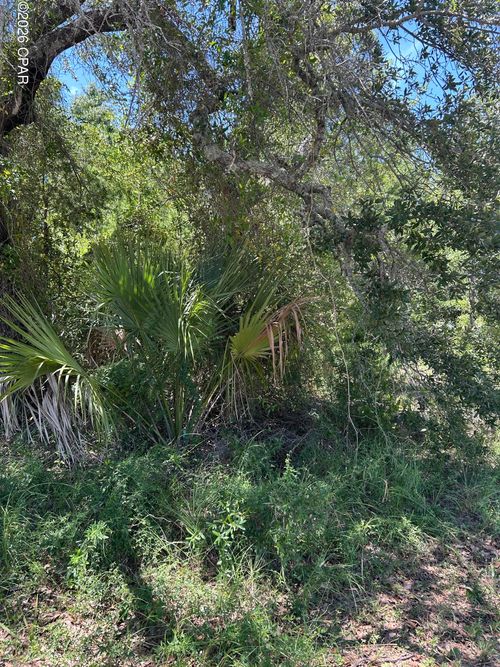 17 W Flower Avenue, Panama City, FL, 32405 | Card Image