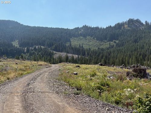 160-000 Thomas Creek Dr, Scio, OR, 97374 | Card Image