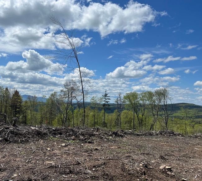 1180 Abbott Hill Rd, Home with 0 bedrooms, 0 bathrooms and null parking in West Burke VT | Image 9