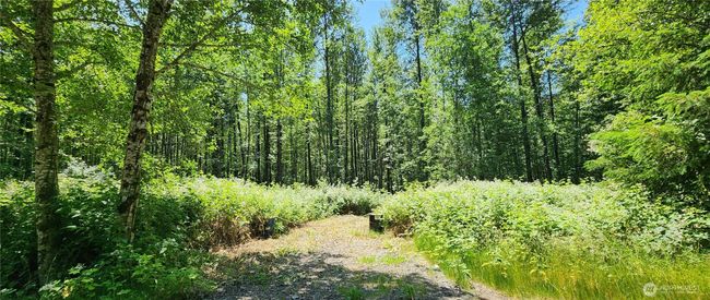 1230 Silverbrook Rd, Home with 0 bedrooms, 0 bathrooms and null parking in Randle WA | Image 9