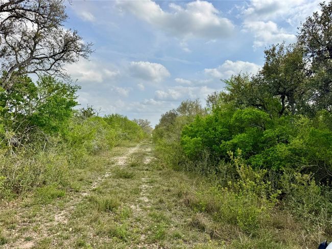 4025 Oil Field Rd, Home with 1 bedrooms, 1 bathrooms and null parking in Goliad TX | Image 9