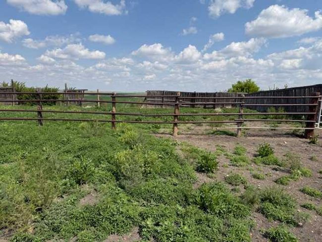1301 Secondary Highway 576, House other with 4 bedrooms, 3 bathrooms and 10 parking in Drumheller AB | Image 31