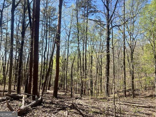 LOT 93 Doll Mountain Rd, Ellijay, GA, 30540 | Card Image