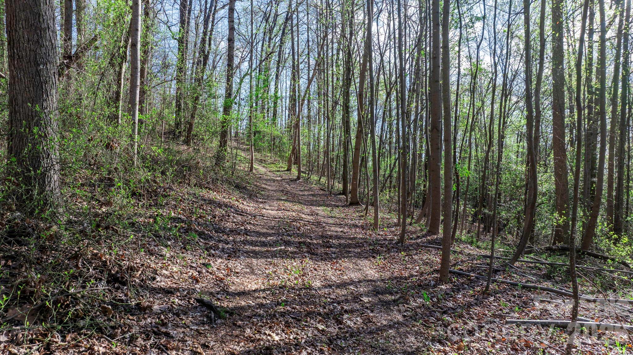 Land in North Wilkesboro 5