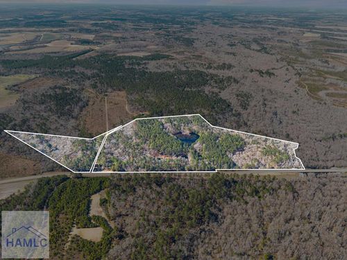 22701 Highway 129, Cobbtown, GA, 30420 | Card Image