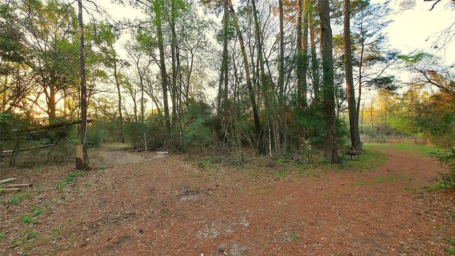 Cleared and uncleared parts of the property | Image 46