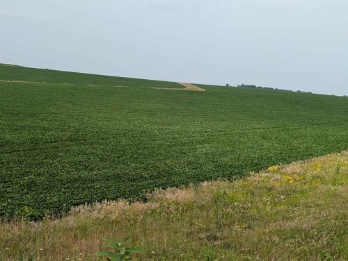 00XX (78.84) Wheeler Rd, CHERRY VALLEY, IL, 61016 | Card Image