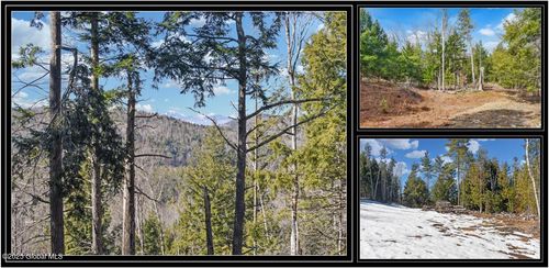 16 Mountain Meadows Rd, Adirondack, NY, 12808 | Card Image