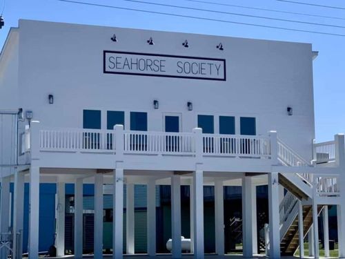 999 S Redfish, Port Bolivar, TX, 77650 | Card Image