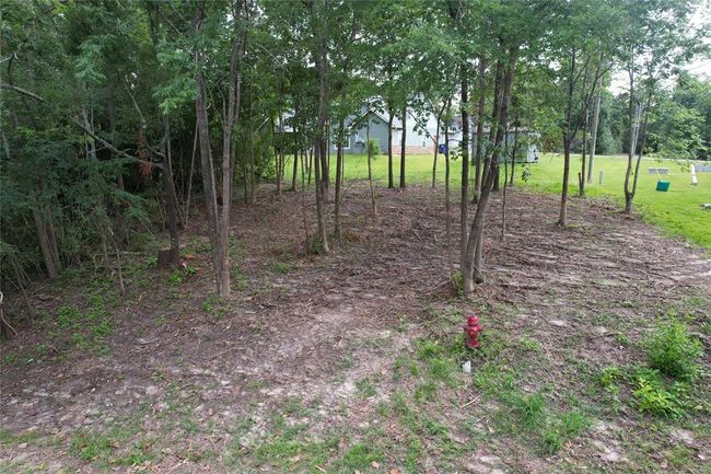 000 Lake Dr, Home with 0 bedrooms, 0 bathrooms and null parking in Onalaska TX | Image 4