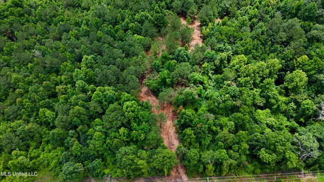 DJI_20250605160535_0677_D.00_01_04_19.St | Image 17