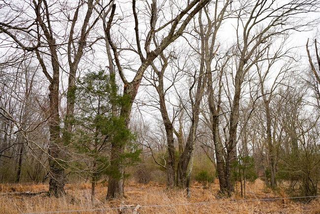 4031 Marion Rd, Home with 0 bedrooms, 0 bathrooms and null parking in Chatham VA | Image 36