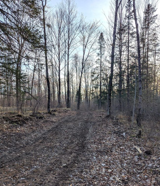 00 Cth X, Home with 0 bedrooms, 0 bathrooms and null parking in PRENTICE WI | Image 36