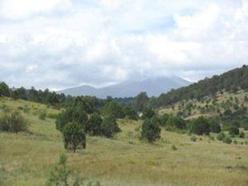 104 Kit Fox Ct, Alto, NM, 88312-8153 | Card Image