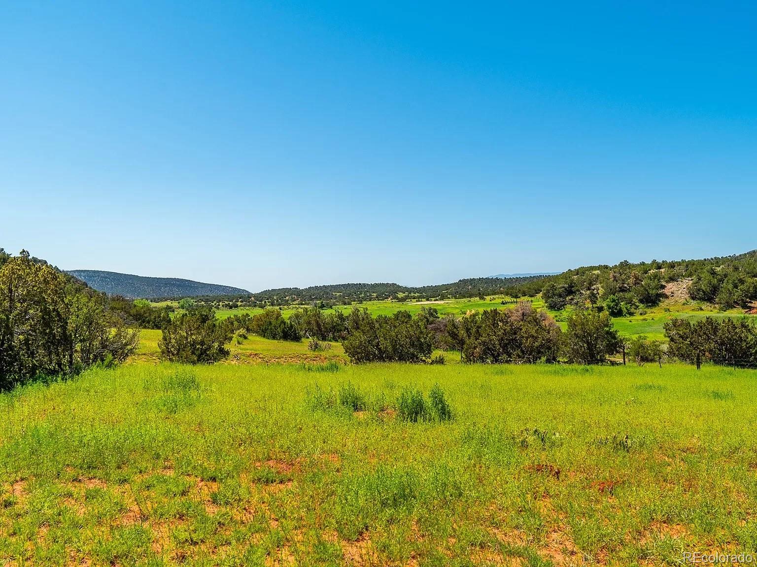 Land in Canon City 3