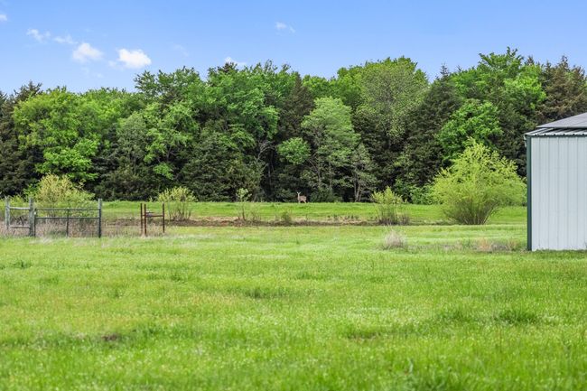 View of yard with a wooded view and fence | Image 19