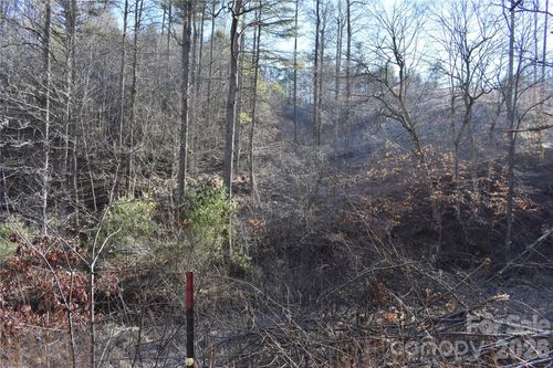 448 Sweetwater Rd, Green Mountain, NC, 28740-8338 | Card Image