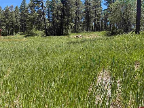 473 Alpine Forest Dr, Bayfield, CO, 81122-8798 | Card Image