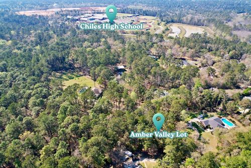 0 Amber Valley Rd, Tallahassee, FL, 32312 | Card Image