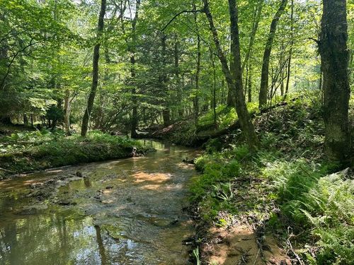 6B Turkey Hollow Road, Sigel, PA, 15860 | Card Image