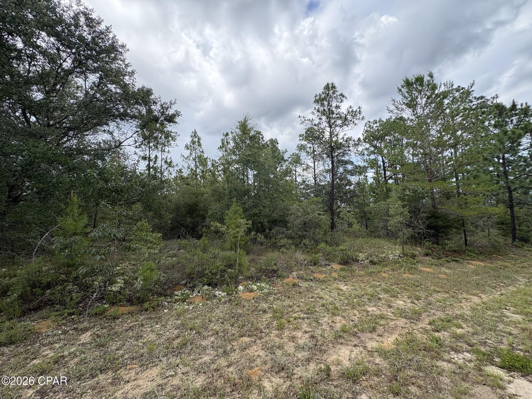 Land in Chipley 4