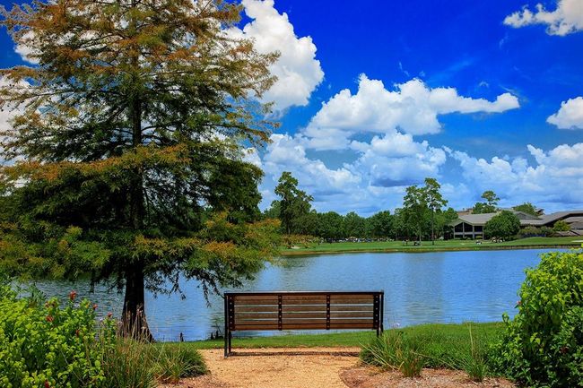 2 Black Cormorant Pl, House other with 3 bedrooms, 4 bathrooms and 2 parking in Spring TX | Image 44