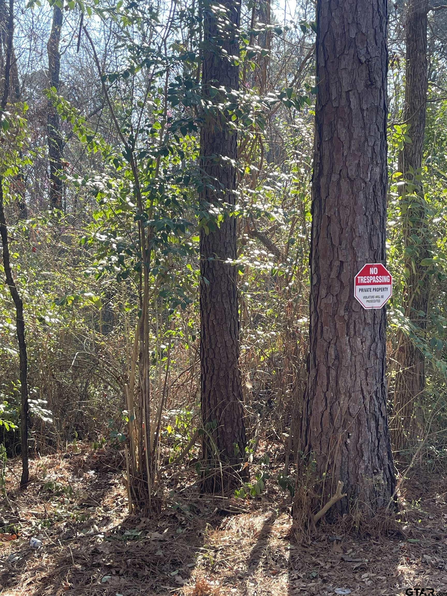 Land in Troup 2