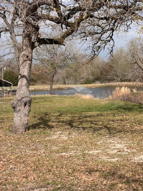 13734 Oak Dr, Iola, TX, 77861-4221 | Card Image