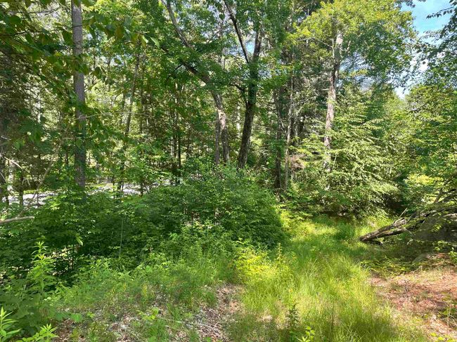 63 New Boston Rd, Home with 0 bedrooms, 0 bathrooms and null parking in Francestown NH | Image 8