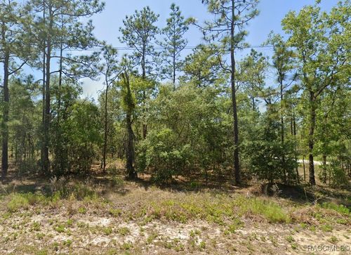 0 Nw Buena Vista Rd., Dunnellon, FL, 34431 | Card Image