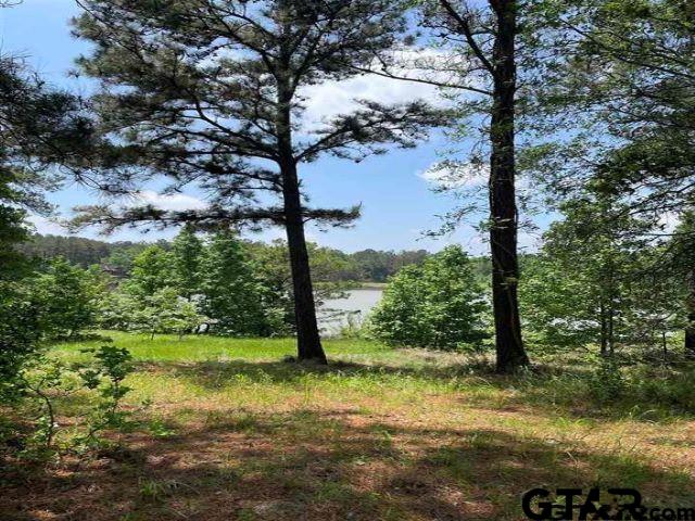 Land in Montalba 3