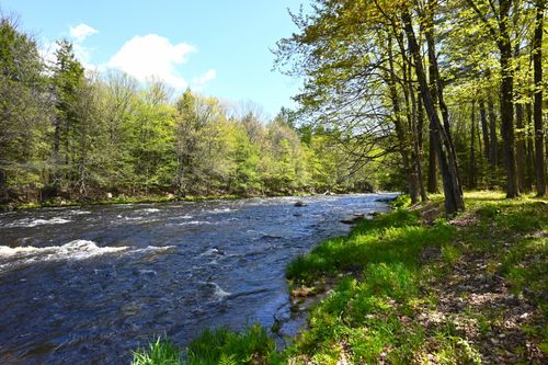 444 Bare Hill Rd, Malone, NY, 12953-2909 | Card Image