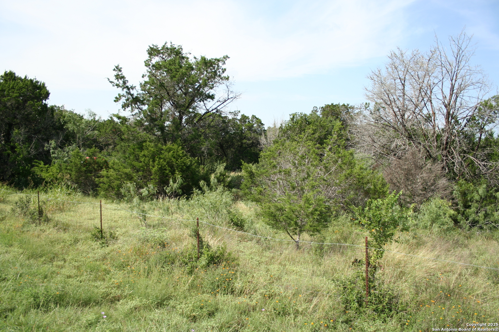 Land in New Braunfels 2