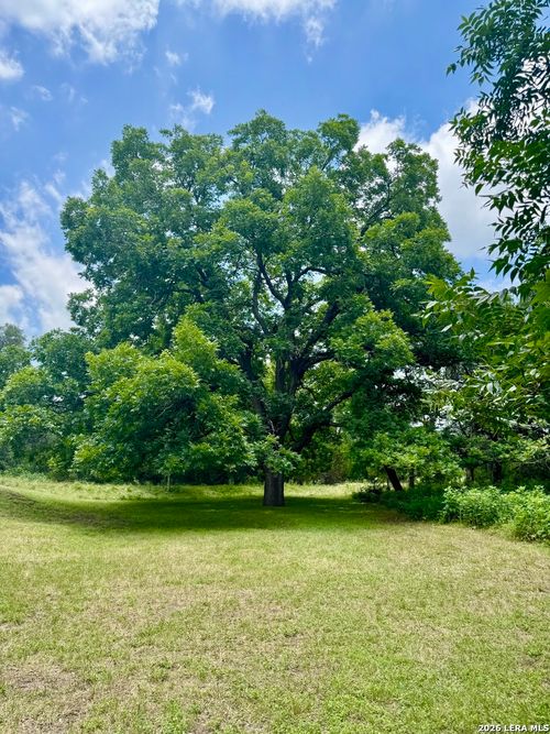 359 Bud Danner Dr, Leakey, TX, 78873 | Card Image