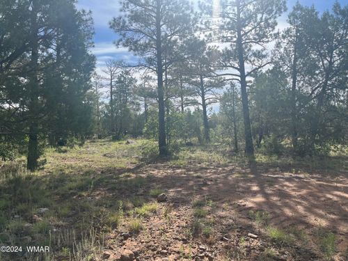5509 Red Squirrel Ln, Lakeside, AZ, 85929 | Card Image