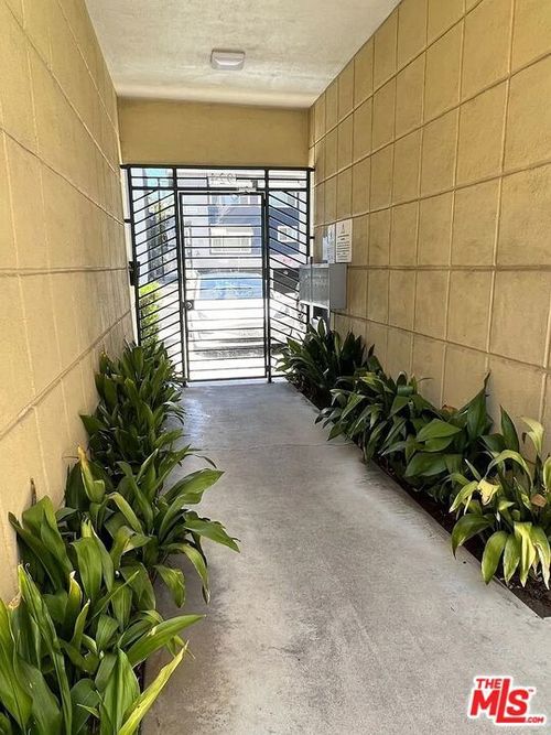 apt-3-924 N Curson Ave, West Hollywood, CA, 90046-6518 | Card Image