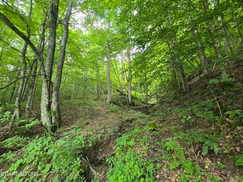 00 Left Poor Valley Rd, Pennington Gap, VA, 24277 | Card Image