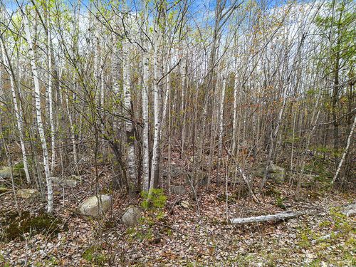Lot #5 Murdock Place, Belgrade, ME, 04917 | Card Image